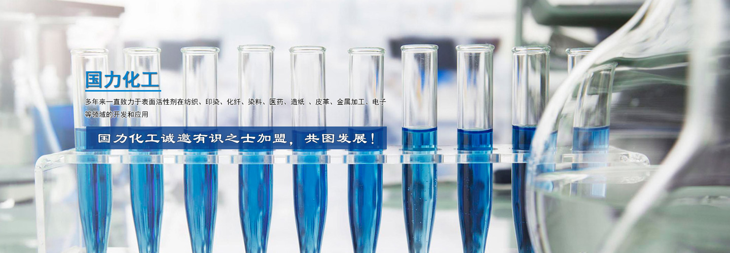 海安縣國力化工有限公司